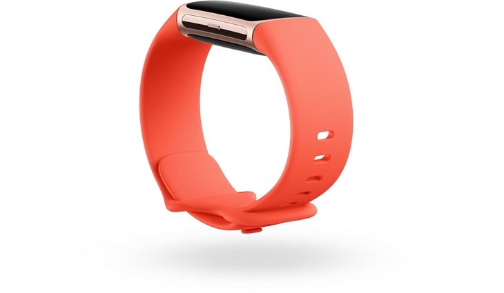 FITBIT Charge 6